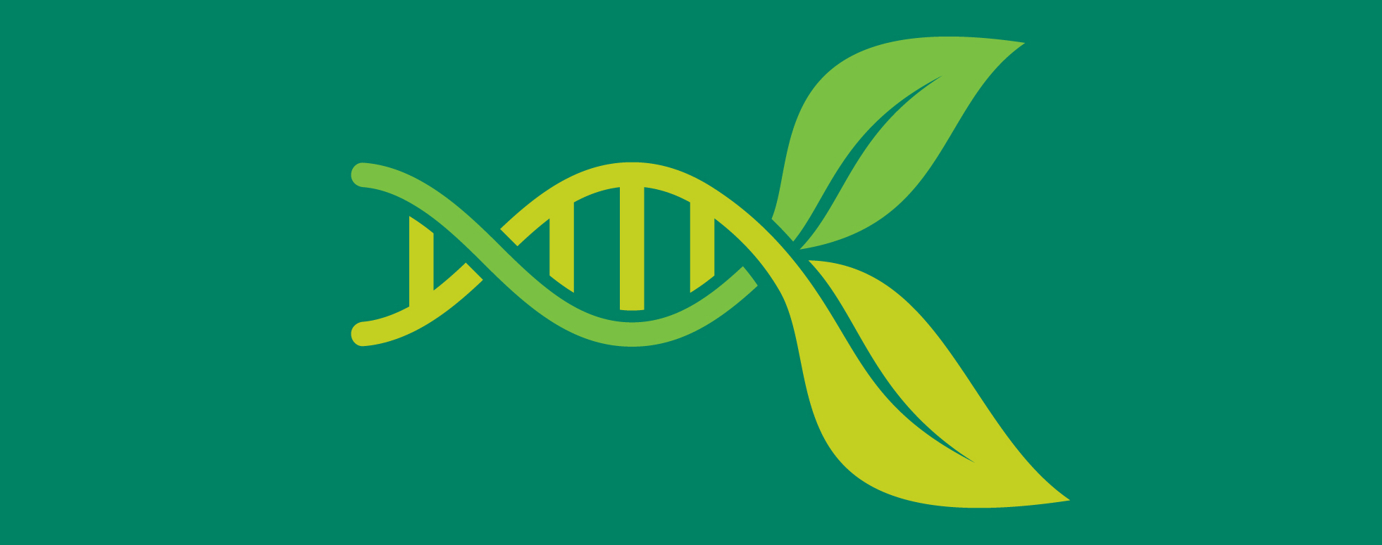  Gene expression. The mechanics of plant development. 