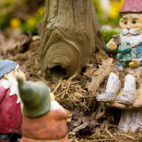 Half-term activities: Flowers, Friendship and Wild Wonders FULLY BOOKED