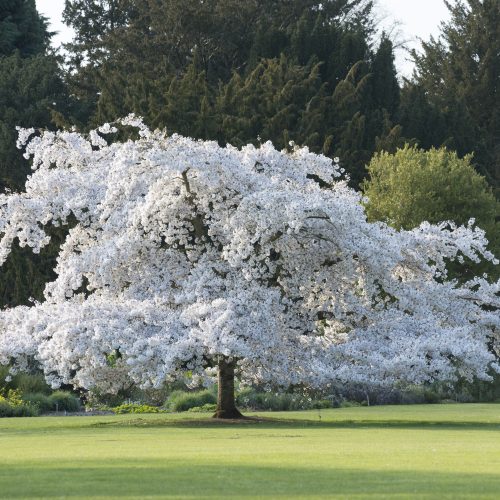 What's on this spring at CUBG