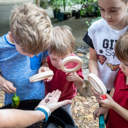 A season of science at Cambridge University Botanic Garden