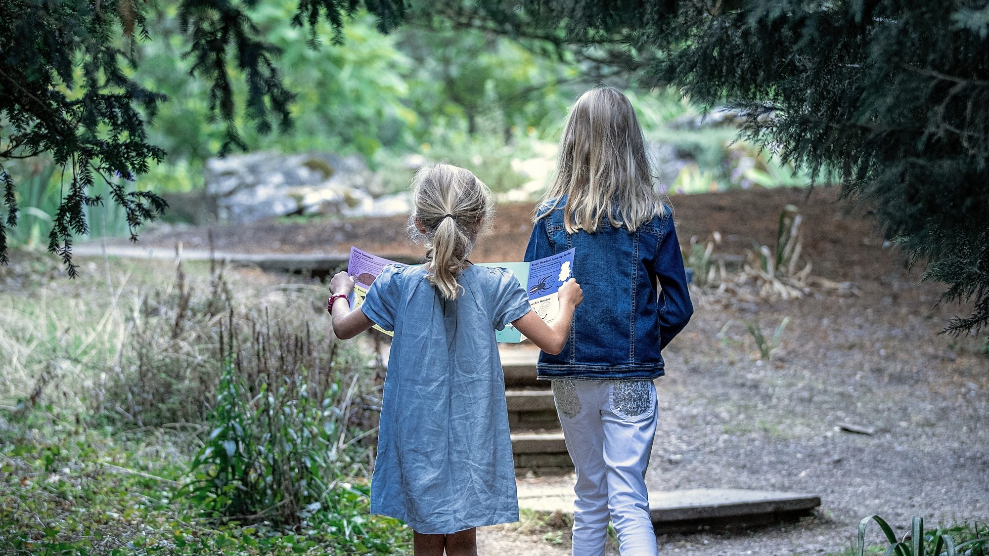 Children entering the rock garden, via Lynch Walk.