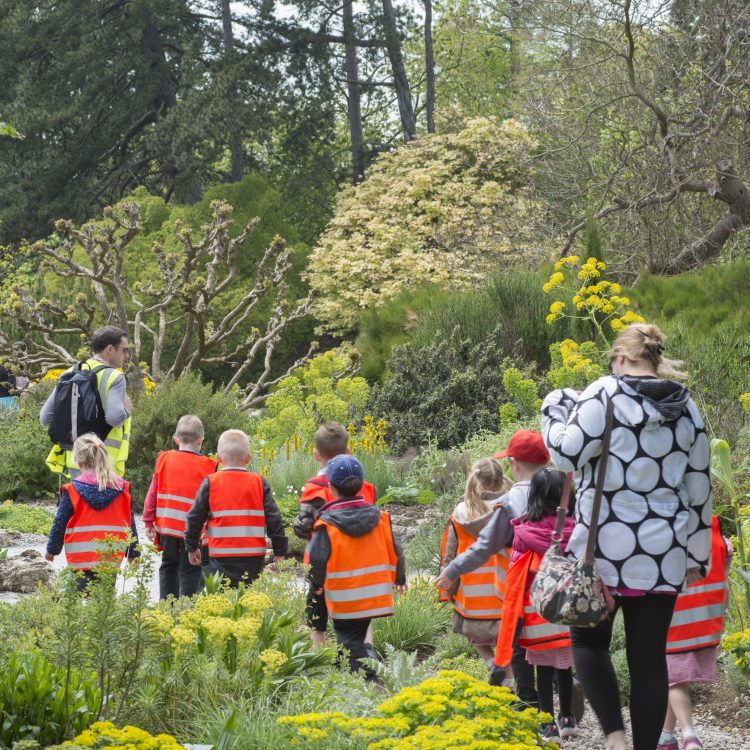 Volunteering at the Garden