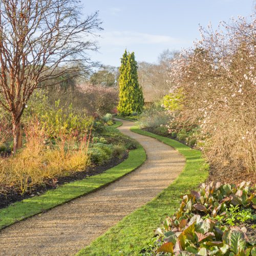 Take a Wellness Wander through our Winter Garden