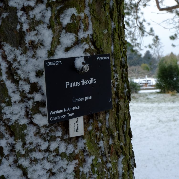 Understanding Plant Labels
