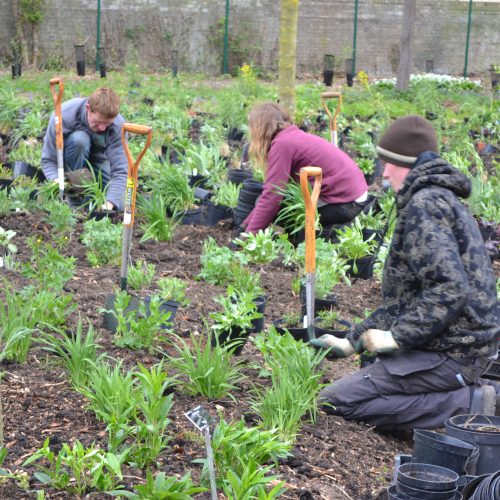 Trainee Horticultural Technician Scheme 2026-2027