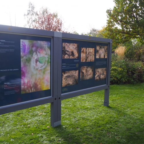 International Garden Photographer of the Year at the Garden
