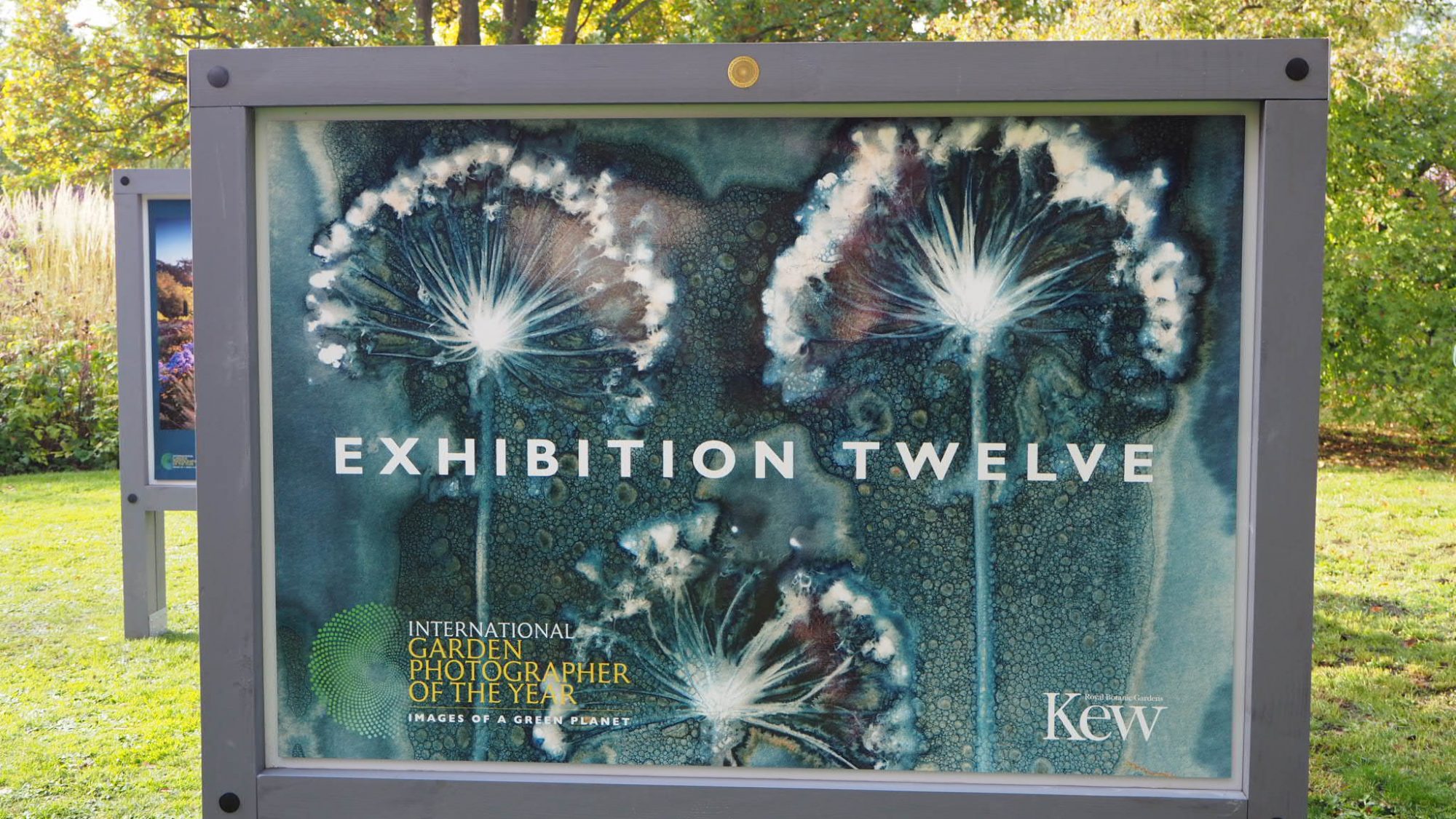 Exhibition Twelve exhibited in the Autumn Garden