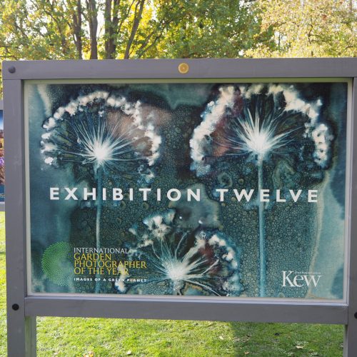 International Garden Photographer of the Year (IGPOTY) arrives in the Garden