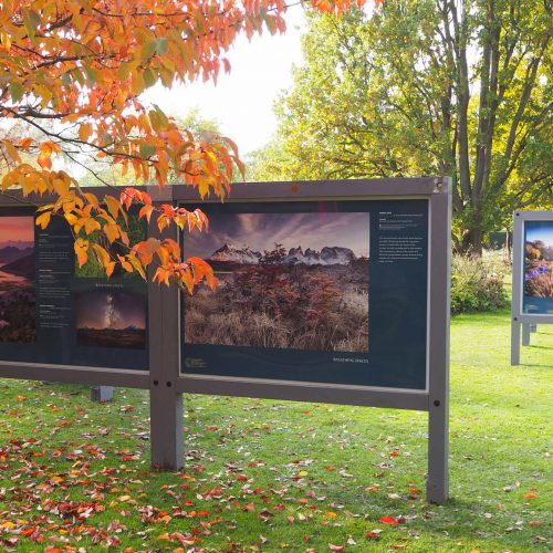 International Garden Photographer of the Year Exhibition 2024