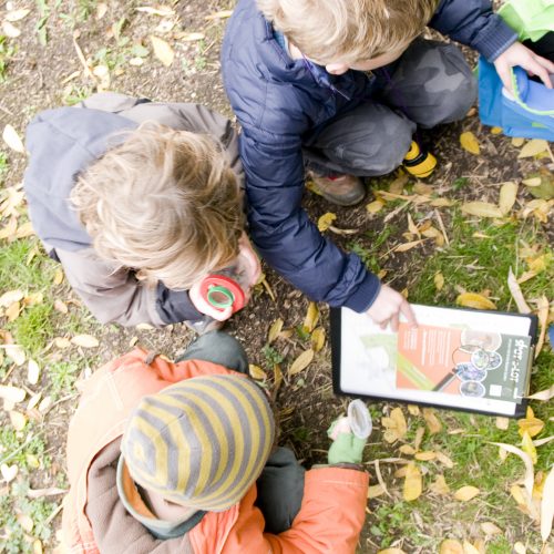 Christmas GPS Treasure Hunt, 7+ years CANCELLED