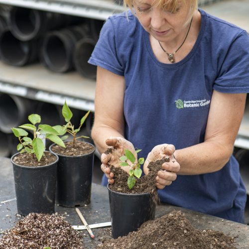 Gardening Club