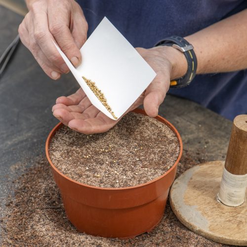 Gardening Club Archive: April 2020