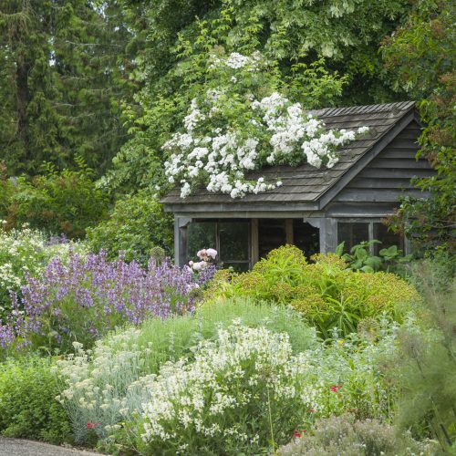 Scented Garden