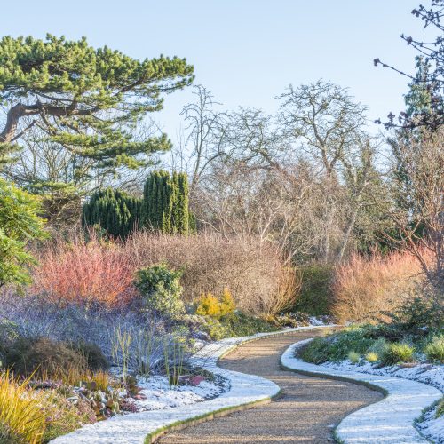 Winter Garden
