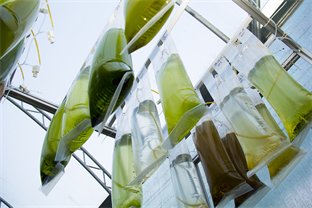 Plant Growth Facility (private)