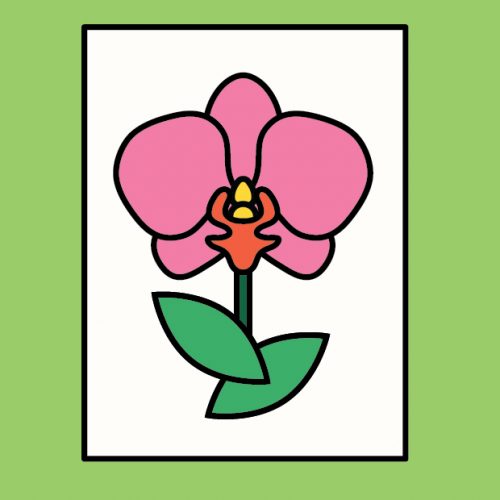 CANCELLED Paper Orchids