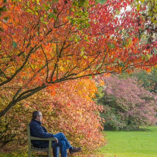 Autumn colour