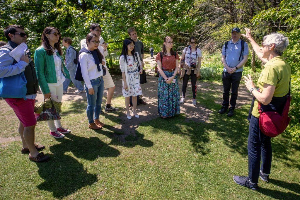 Tour of the garden