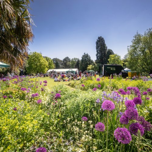 What’s on at CUBG this Summer, 2022