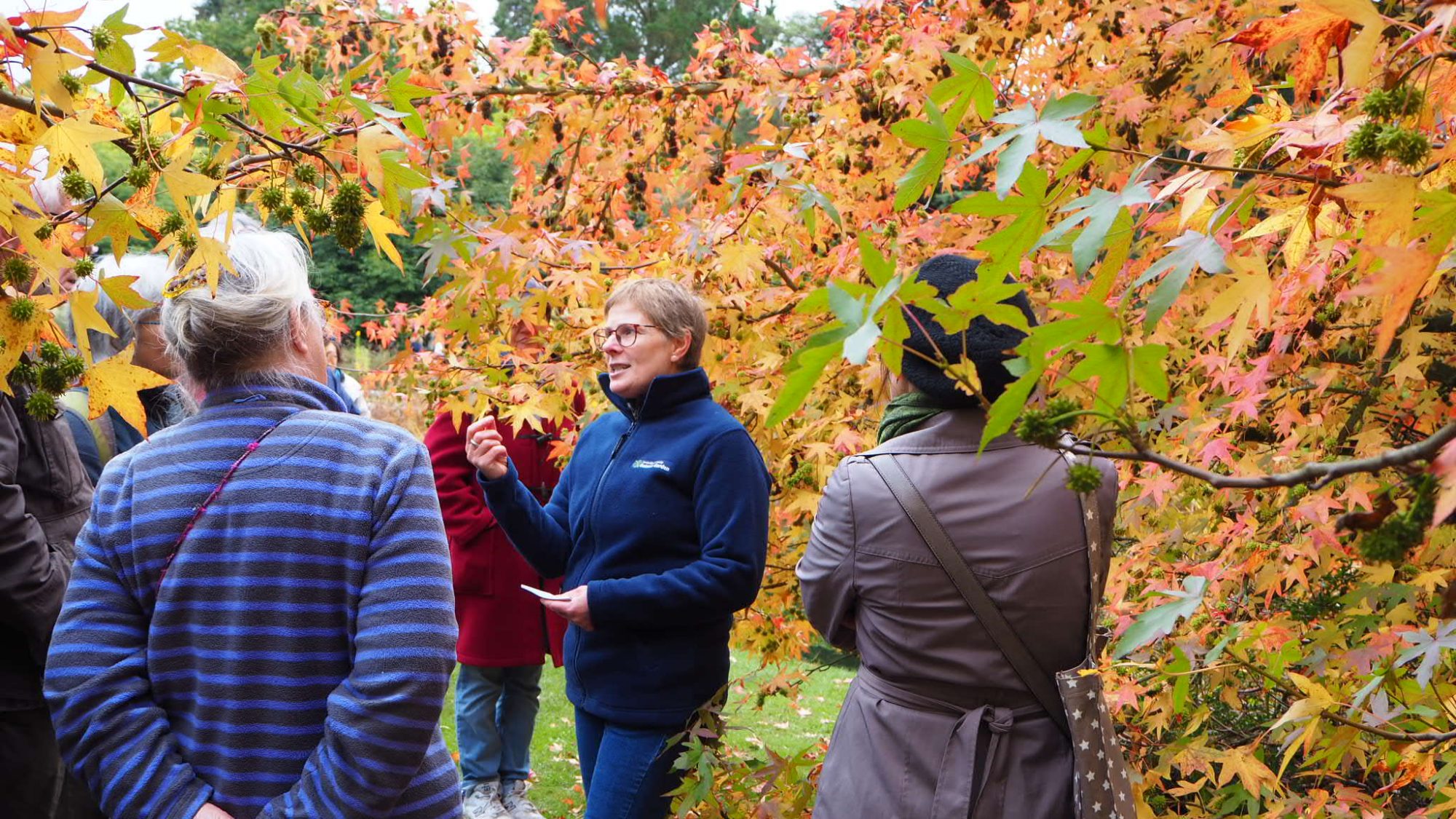 A tour of the garden in autumn by head of horticulture Sally.
