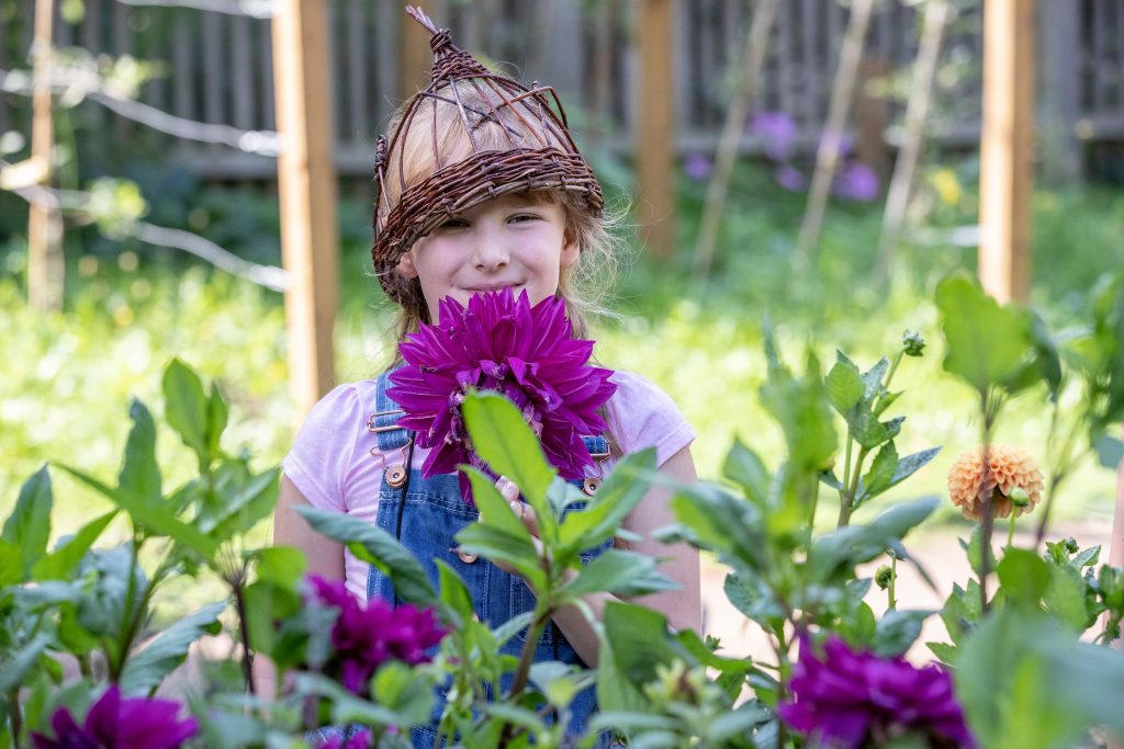 A girl with planted Dahlias in the schools garden.