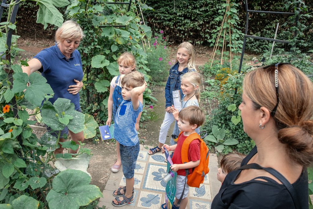 Schools' Garden
