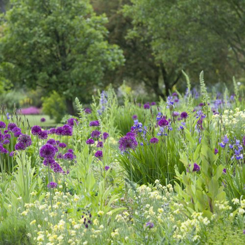 CUBG to close for the foreseeable future