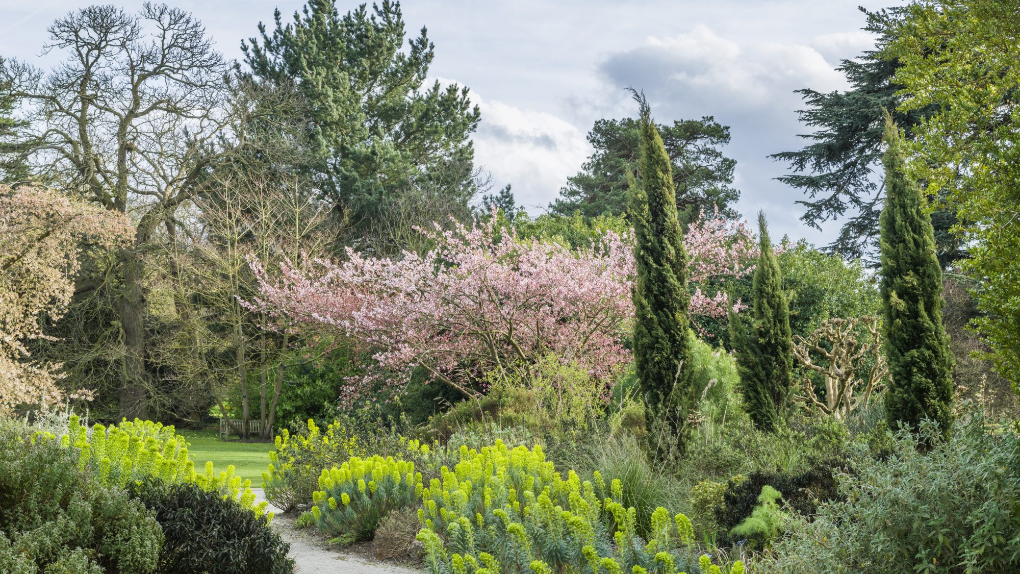 A view of the path through the Mediterranean Beds towards the Main lawn.