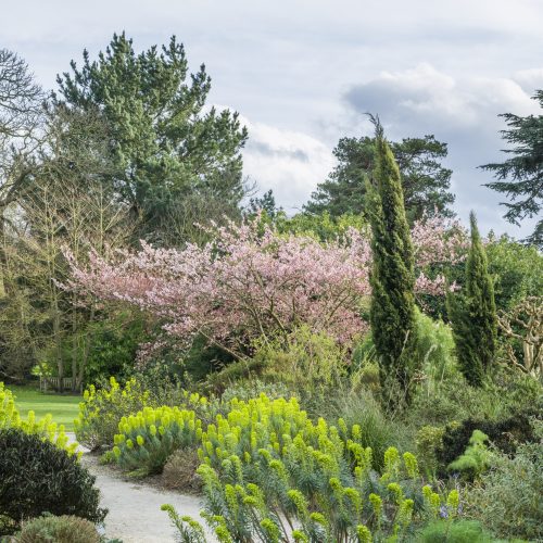 Wellness Wanders Archive: March 2020