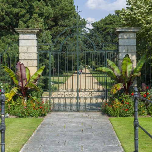 Living Collections Portal