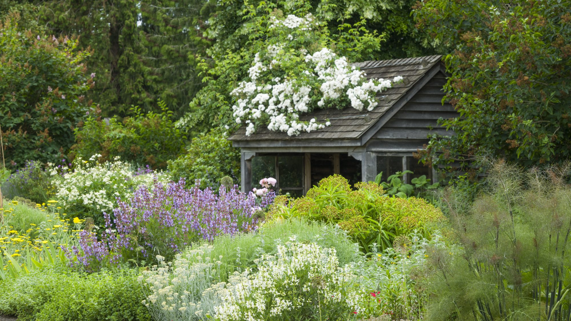 The wooden shelter in the Scented Garden, tucked away behind a flurry of pastel flowers.