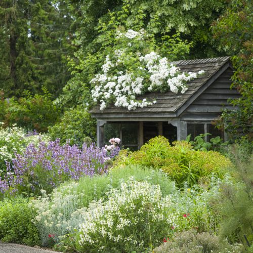 Scented Garden
