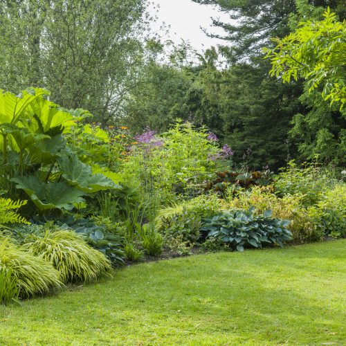 Stream Garden