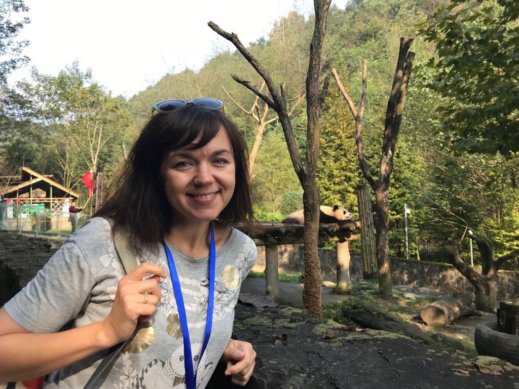 Person standing in front of panda in captivity with mixed woodland in the background 