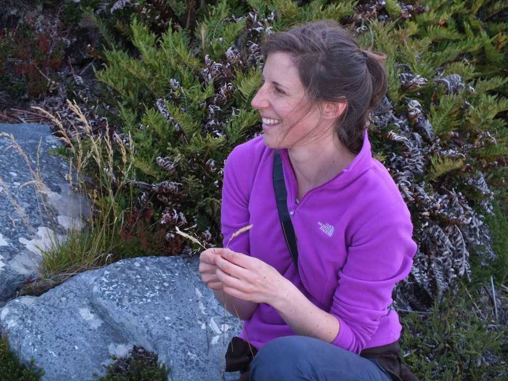 Person in purple jumper crouching by rock holding two grass shoots, with heather in the background 