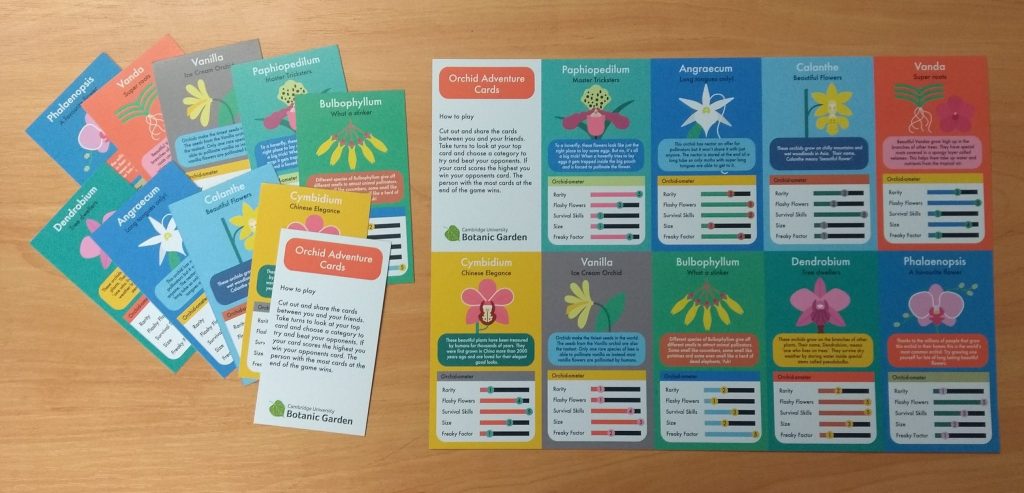 A deck of colourful cards with different illustrations of orchids on.