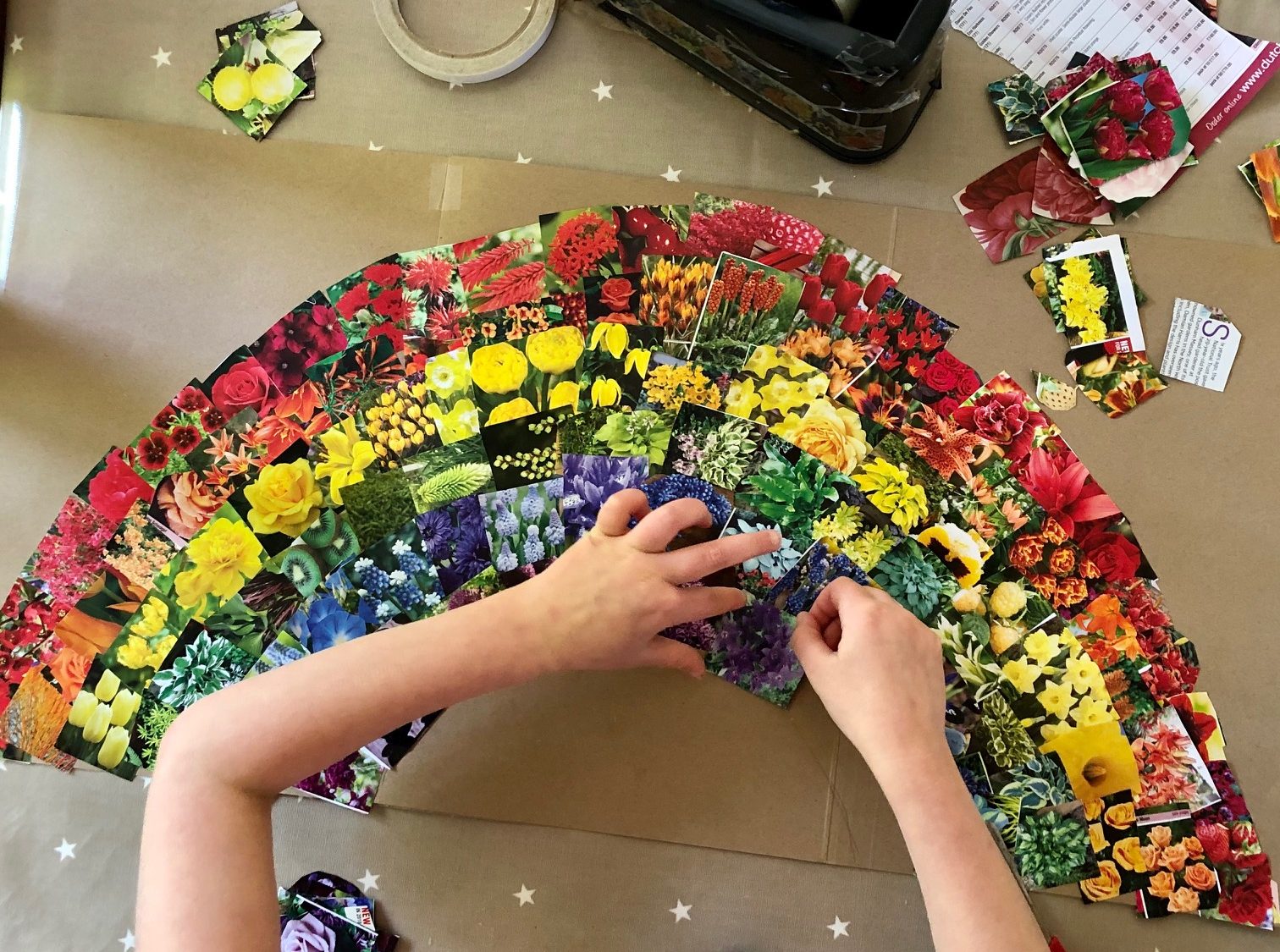 Image of child making a rainbow collage of flower pictures