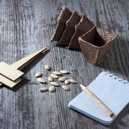 Gardening Hints and Tips