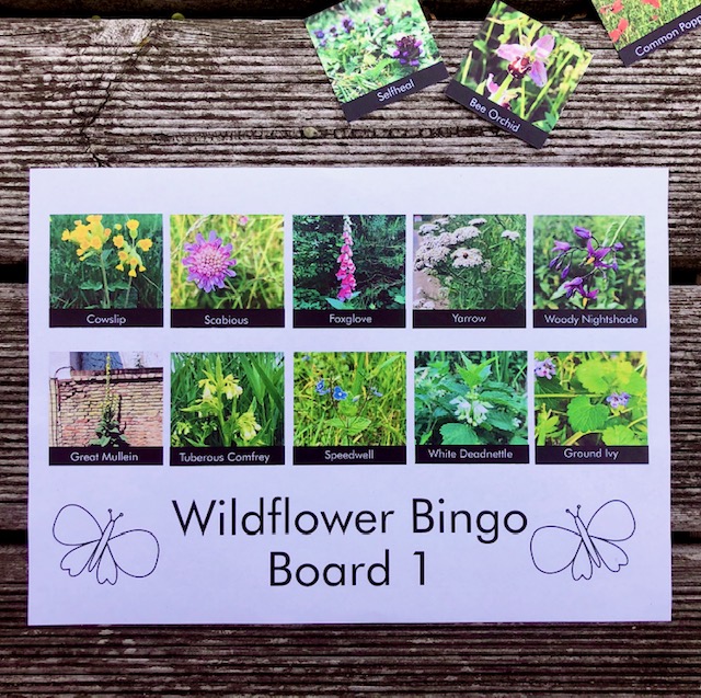 A printed bingo card with different types of wildflowers on it.