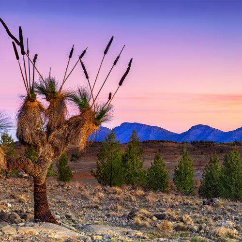 International Garden Photographer of the Year exhibition