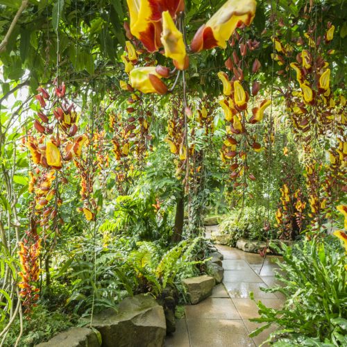 The Glasshouse Range Reopens