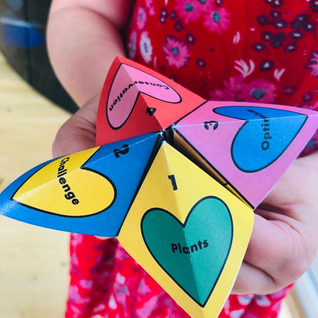 An origami folded toy with plant themed labels on it.