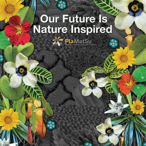 Our Future is Nature Inspired: PlaMatSu Project