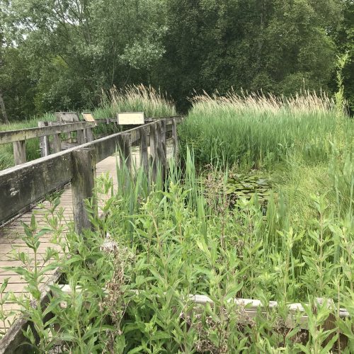 Fen Display