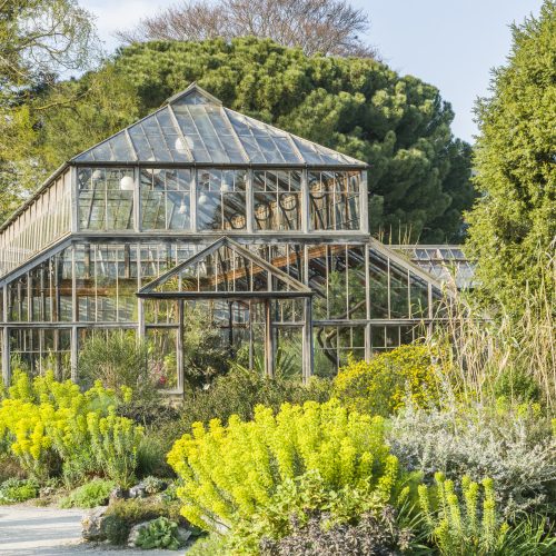 Glasshouse Range Refurbishment