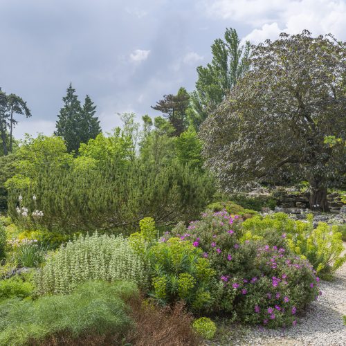 Mediterranean Beds