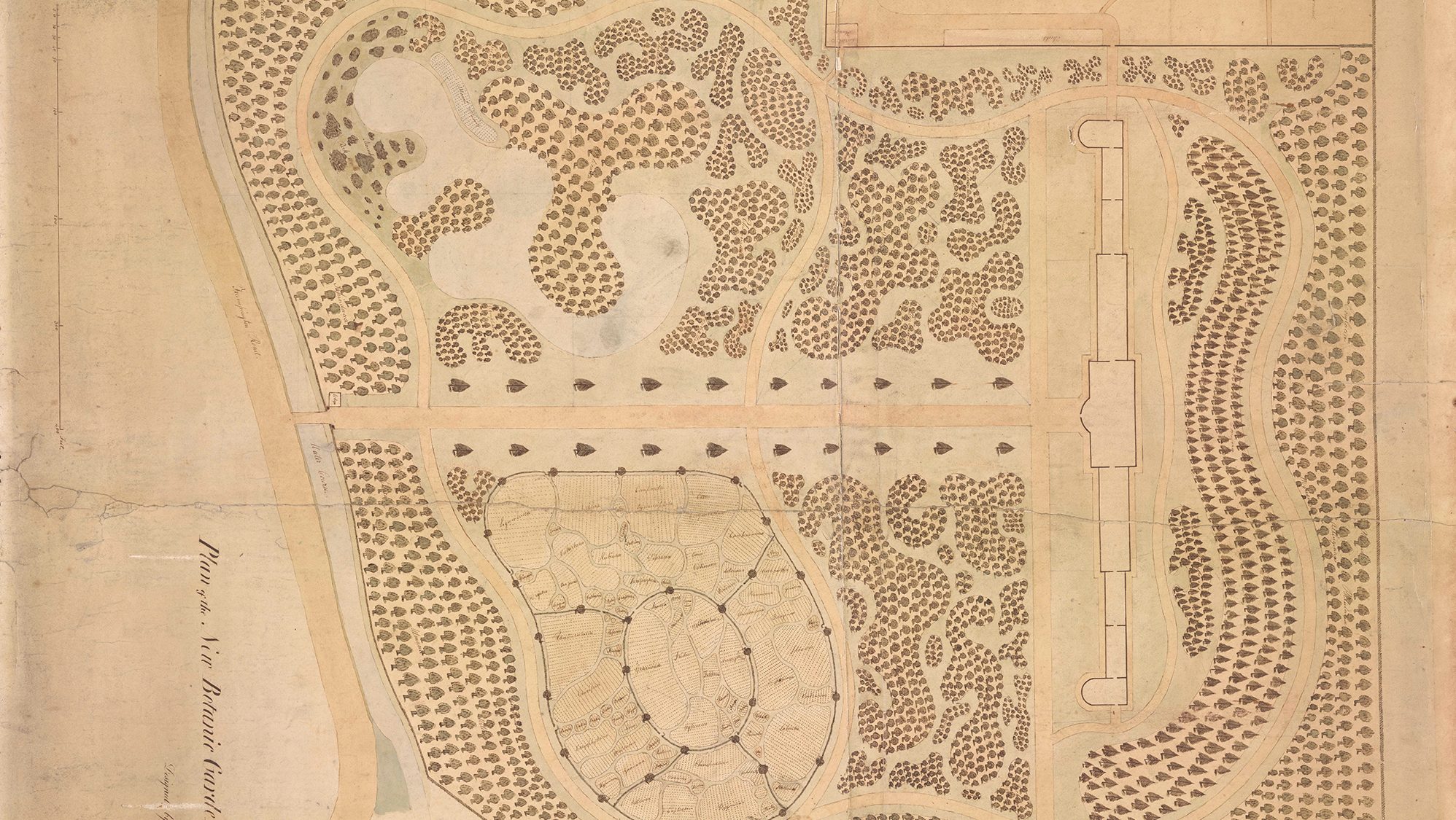 A historic map of the original design of Cambridge University Botanic Garden.