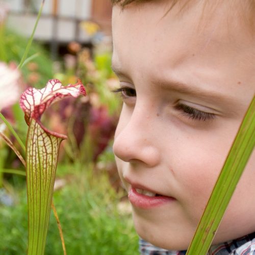 Early Years Workshops