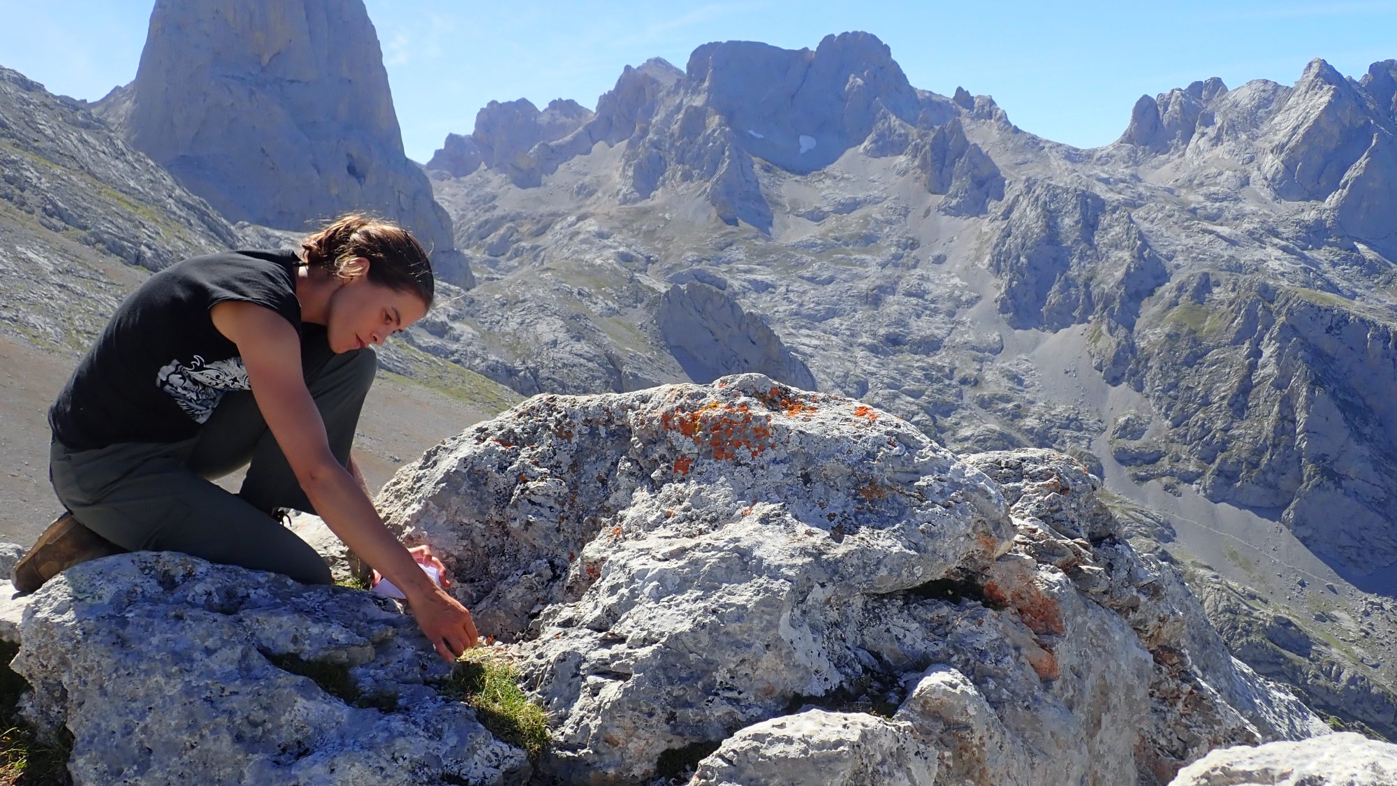 Woman collecting seed from a plant in a mountain range