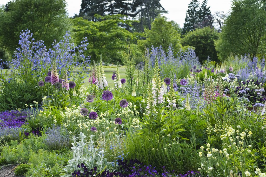 Flower beds filled with blue, purple and white flowers.